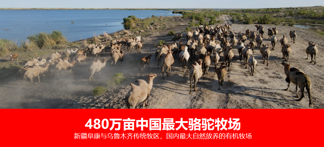 圖片3.png