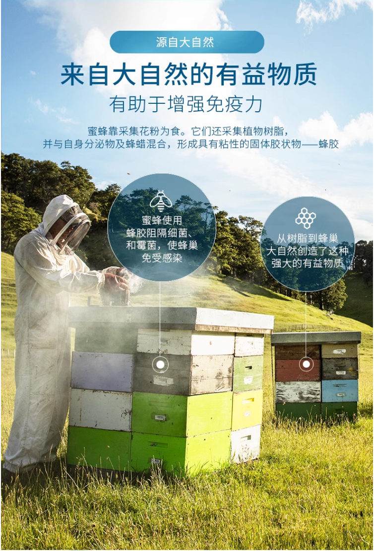 蜂膠紫蘇詳 (1).jpg