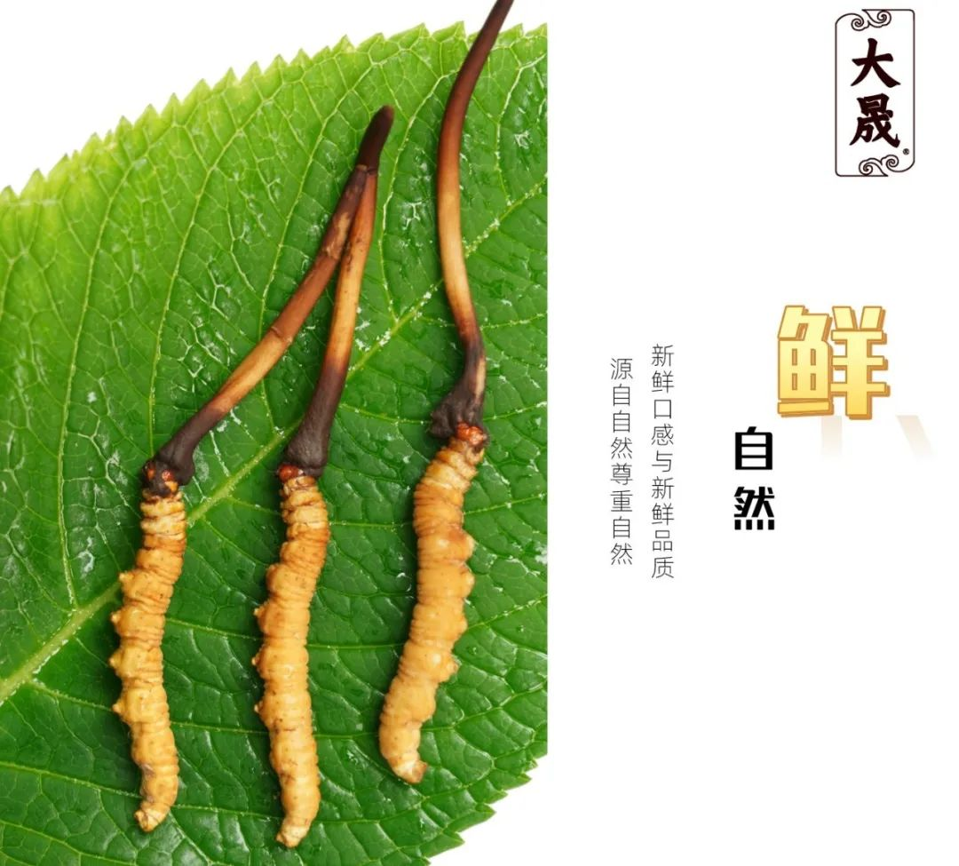 圖片7.png